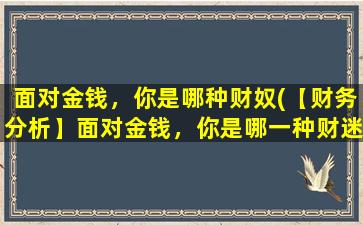 面对金钱，你是哪种财奴(【财务分析】面对金钱，你是哪一种财迷呢？)