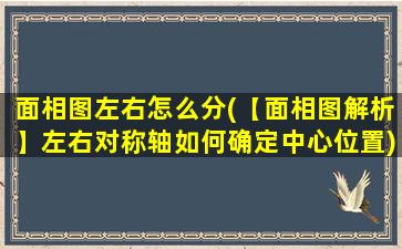 面相图左右怎么分(【面相图解析】左右对称轴如何确定中心位置)