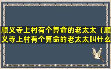 顺义寺上村有个算命的老太太（顺义寺上村有个算命的老太太叫什么）