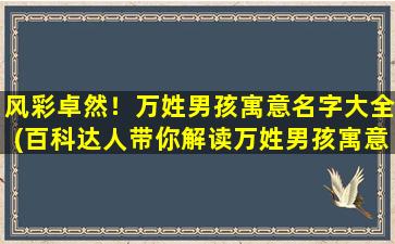 风彩卓然！万姓男孩寓意名字大全(百科达人带你解读万姓男孩寓意名字大全)