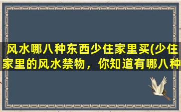 风水哪八种东西少住家里买(少住家里的风水禁物，你知道有哪八种吗？)