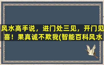 风水高手说，进门处三见，开门见喜！果真诚不欺我(智能百科风水高手：进门三见，开门见喜，如此高超的风水，让您事事顺遂！)