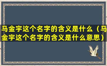 马金宇这个名字的含义是什么（马金宇这个名字的含义是什么意思）