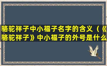 骆驼祥子中小福子名字的含义（《骆驼祥子》中小福子的外号是什么）