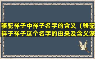 骆驼祥子中祥子名字的含义（骆驼祥子祥子这个名字的由来及含义深刻）