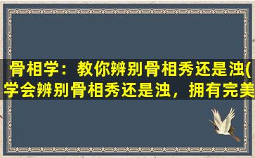 骨相学：教你辨别骨相秀还是浊(学会辨别骨相秀还是浊，拥有完美面孔！)