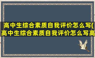 高中生综合素质自我评价怎么写(高中生综合素质自我评价怎么写高一)