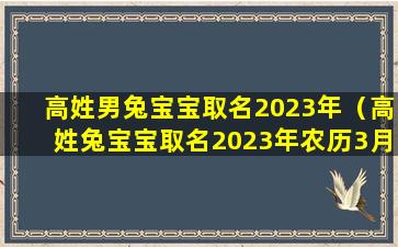 高姓男兔宝宝取名2023年（高姓兔宝宝取名2023年农历3月10号）