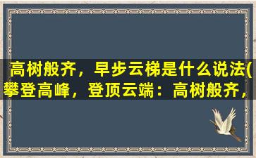 高树般齐，早步云梯是什么说法(攀登高峰，登顶云端：高树般齐，早步云梯。)