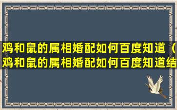 鸡和鼠的属相婚配如何百度知道（鸡和鼠的属相婚配如何百度知道结婚）