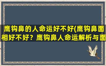 鹰钩鼻的人命运好不好(鹰钩鼻面相好不好？鹰钩鼻人命运解析与面相学探讨)