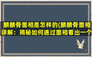 麟麟骨面相是怎样的(麟麟骨面相详解：揭秘如何通过面相看出一个人的性格特点和运势走势)