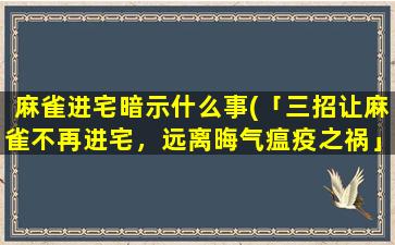 麻雀进宅暗示什么事(「三招让麻雀不再进宅，远离晦气瘟疫之祸」)