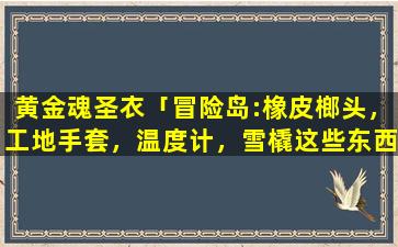 黄金魂圣衣「冒险岛:橡皮榔头，工地手套，温度计，雪橇这些东西哪里可以得到」