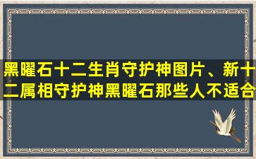 黑曜石十二生肖守护神图片、新十二属相守护神黑曜石那些人不适合戴十二生肖守护神黑耀石