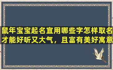 鼠年宝宝起名宜用哪些字怎样取名才能好听又大气，且富有美好寓意