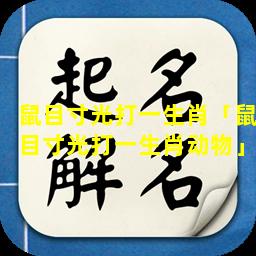 鼠目寸光打一生肖「鼠目寸光打一生肖动物」