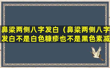 鼻梁两侧八字发白（鼻梁两侧八字发白不是白色糠疹也不是黑色素减退）