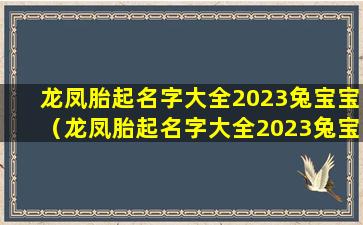 龙凤胎起名字大全2023兔宝宝（龙凤胎起名字大全2023兔宝宝男孩）