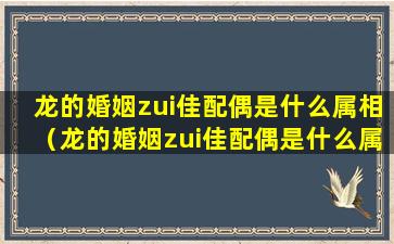 龙的婚姻zui佳配偶是什么属相（龙的婚姻zui佳配偶是什么属相那相差几岁）