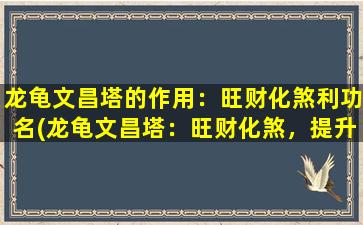 龙龟文昌塔的作用：旺财化煞利功名(龙龟文昌塔：旺财化煞，提升功名运势)